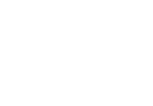 PAX Burgers
